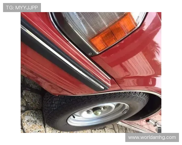 皇冠singnia品牌介绍与发展历程详解，带你全面了解这个知名品牌的背后故事