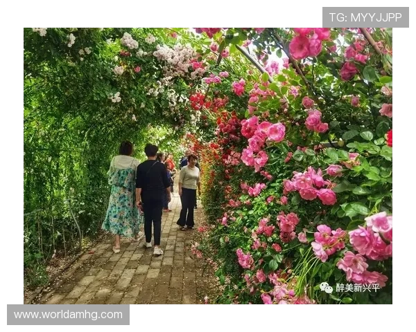 皇冠真人平台最新技术保障，提供高清画质和真实音效带来沉浸式体验