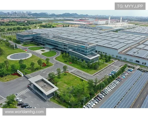 深入了解澳娱集团的企业文化与社会责任实践对行业发展的积极影响